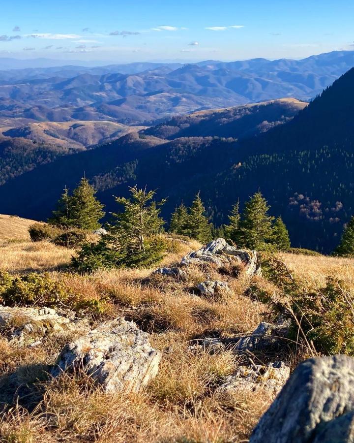 Ivkovic Spa Milmari N16 Kopaonik Zewnętrze zdjęcie