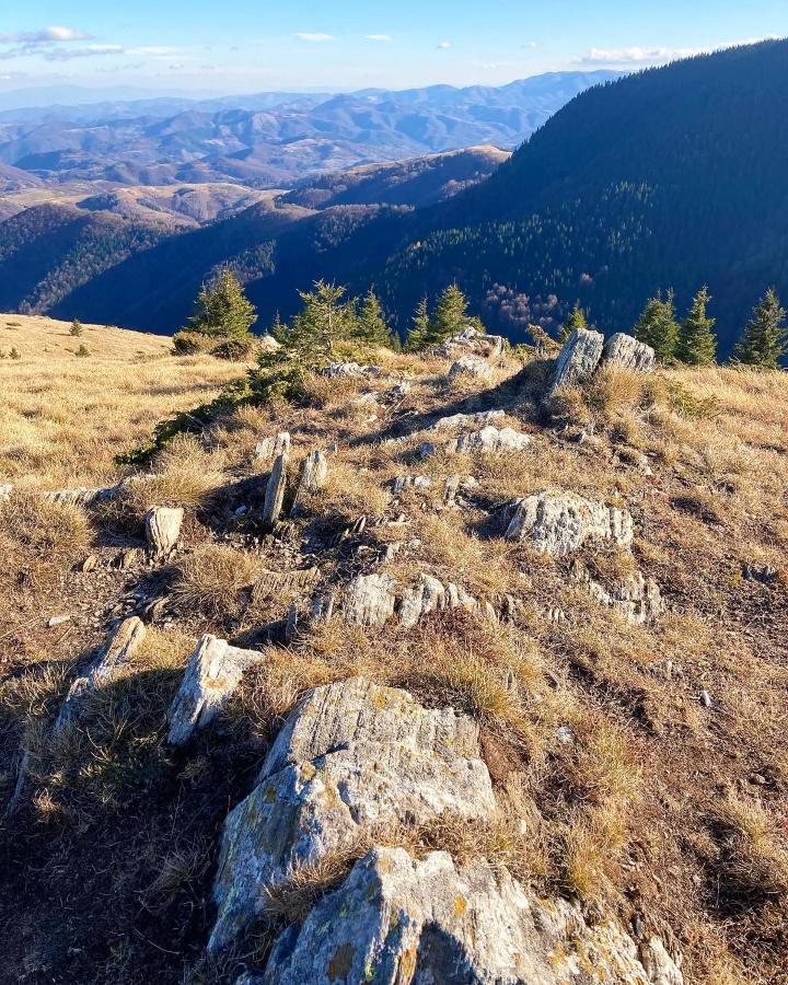 Ivkovic Spa Milmari N16 Kopaonik Zewnętrze zdjęcie